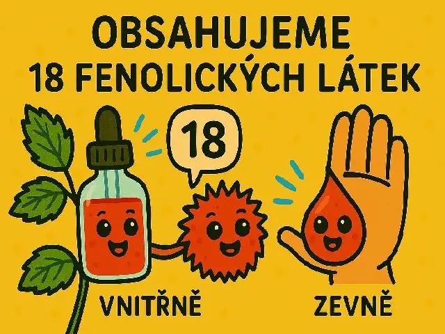 Šípkové hálky mají 18 fenolických látek